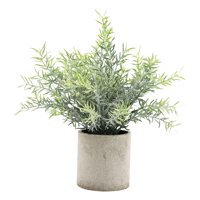 Bothyi - Planta Suculenta Falsa Artificial En Maceta Mini Plantas En Maceta Decoración De Jardín Para El Hogar Romero