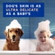 thumbnail image 3 of Champú para perros Douxo Skin & Coat SPA Shed Control 473 ml, 3 of 7