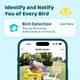 thumbnail image 2 of Comedero Inteligente Para Pájaros De Birdfy Con Cámara Y Panel Solar, 2 of 9