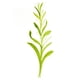 thumbnail image 4 of Set de 10 pinceles de Taklon Creative Mark, 4 of 7