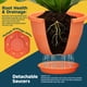 thumbnail image 4 of Macetas Lifemaster en forma de barril de whisky, 10 unidades, 25 cm, plástico, 4 of 7
