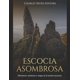 thumbnail image 1 of Libro Escocia Asombrosa: Monstruos, misterios y magia en Escocia, 1 of 1