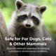 thumbnail image 3 of Suplemento PetAg Bene-Bac Plus en polvo de 454 g para perros y gatos, 3 of 6