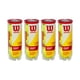 thumbnail image 1 of Pelotas de tenis WILSON Championship Extra Duty 3 pelotas, 1 of 2