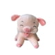 thumbnail image 1 of Peluche De Cerdito Tierno Con Alas Cerdo Angel Suave, 1 of 1