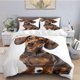 thumbnail image 1 of 3pcs Dachshund Themed Digital Print Bedding Set Anti-Pilling Polyester, 1 of 1