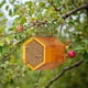 thumbnail image 4 of Casa para abejas albañiles POLLIBEE de madera natural hecha a mano e impermeable, 4 of 9