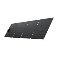 Ecoflow Panel Solar Portátil De 60W Tipo C