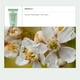 thumbnail image 2 of REN - Gel Limpiador Suave Evercalm 1.7 oz., 2 of 7