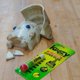 thumbnail image 5 of Super Glue Krazy Glue Elmer's Original Crazy Multiusos, 3 veces, 5 of 7