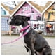 thumbnail image 3 of Correa Perro 1.2mts Magical, 3 of 3