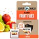 thumbnail image 1 of Trampa para Moscas de la Fruta Super Ninja 1 Unidad 3 Semanas, 1 of 3