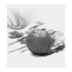 thumbnail image 3 of Masilla Grafito Maleable y Acuarelable Nº1 Viarco 150gr, 3 of 3