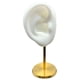 thumbnail image 3 of Soporte De Exhibición De Pendientes Modelo De Oreja Soporte De Perno Con Base Para Escaparate De Cumpleaños Blanco Derecho, 3 of 5