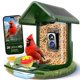 thumbnail image 1 of Alimentador de Pájaros VIUBIRD Solar con Cámara 2K HD, Capacidad 1,1 kg, Verde, 1 of 8
