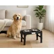 thumbnail image 5 of PLATO DOBLE ALTO ALTURA AJUSTABLE 1.4LT PETS FUN, 5 of 5