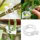 thumbnail image 1 of 50 pinzas de plástico para sujetar plantas, para melón, para atar ramas, para colgar, fijas, grandes para cabello grueso (blanco, 50 unidades), 1 of 7