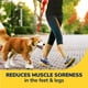 thumbnail image 4 of Plantillas Dr. Scholl's Walk Longer Comfort para mujer, tallas 6-10, 4 of 8