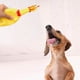 thumbnail image 4 of Pollo chillón, juguete de pollo chillón de goma amarillo, novedoso y duradero, para niños y perros, paquete económico de 3 pollos de goma., 4 of 6