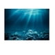 thumbnail image 1 of Acuario 3D Fondo Etiqueta Pecera Decoración De Pared Pintura PVC M, 1 of 5