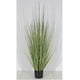 thumbnail image 2 of Planta Decorativa Pasto Cebolla Verde 68Cm, 2 of 2