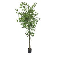 Corel - Planta Decorativa Árbol De Ginko 180 Cm