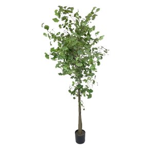 Corel - Planta Decorativa Arbol De Ginko 180Cm