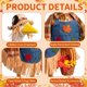thumbnail image 3 of Conjunto de Disfraz para Ganso YVMMVY 58 cm – Decoración de Espantapájaros para Otoño, 3 of 7