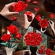 thumbnail image 2 of Rasout Set de construcción de ramo de rosas rojas 634 piezas, flores DIY, 2 of 6