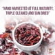 thumbnail image 2 of Flores De Hibisco Amazing Chiles 907 G 100 % Naturales, 2 of 9