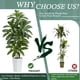 thumbnail image 4 of Árbol de dracaena artificial TNGGNT, yuca tropical de seda sintética de 6 pies, 4 of 7