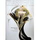 thumbnail image 1 of Muñeca Barbie Midnight Gala 1995 Colección Classique, 1 of 3