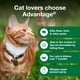 thumbnail image 3 of Spray de tratamiento antipulgas para gatos Advantage mata pulgas y garrapatas, 240 ml, 3 of 8