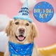 thumbnail image 5 of Pañuelo de cumpleaños para perro, pañuelo triangular para fiesta de cumpleaños de cachorro, pañuelo de feliz cumpleaños para perro, suministros para fiesta de cumpleaños de mascotas (azul), 5 of 8