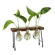 thumbnail image 5 of Florero Hidropónico Florero De Vidrio Florero Moderno Para El Hogar Sala De Estar Tres Botellas, 5 of 5