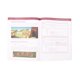 thumbnail image 5 of LIFEPAC Grado 5 Conjunto de Homeschooling de 5 Materias Basado en la Biblia, 5 of 9