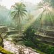 thumbnail image 2 of Incienso Nippon Kodo FM 07 Bali Rain – 15 varillas, 2 of 2