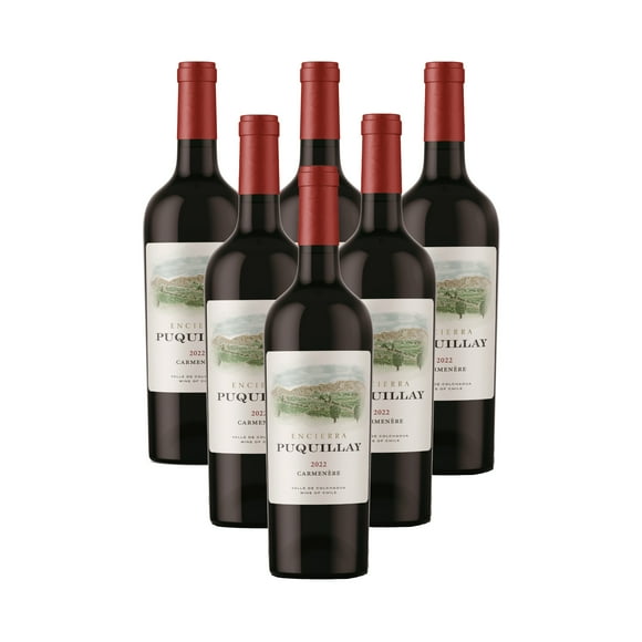 Pack 6 botellas Vino Tinto Puquillay Carmenere 2022 750 ml 14% Alc.
