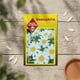 thumbnail image 2 of Semillas Flor Margarita para Huertos y Jardines Las Encinas, 2 of 2