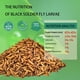 thumbnail image 2 of Larvas secas de mosca Black Soldier hatortpet, 9,07 kg, para pollos, 2 of 6