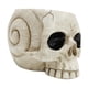 thumbnail image 2 of Maceta Con Forma De Calavera, Adorno De Escritorio De Resina Con Cabeza De Esqueleto Para Escritorio, Dormitorio Y Hogar, 2 of 3