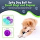 thumbnail image 3 of Pelota para perro Petite Paws 4,5 cm con chirrido – paquete de 4, 3 of 8
