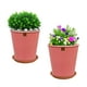 thumbnail image 2 of Set de 2 Macetas Zaia 26 cm Rosa Alegre y sus platos, 2 of 3