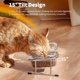 thumbnail image 2 of Cuencos elevados de vidrio con inclinación de 15° para gatos – Hannadepot, 2 of 9