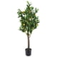 thumbnail image 1 of Limon 120 Cm, 1 of 2