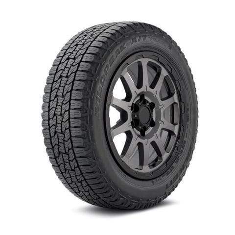 Falken - Neumatico 225/55 R17 Wpattr A/T