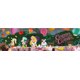 thumbnail image 2 of Puzzle Buffalo Games Alicia en el país de las maravillas 750 piezas 97x29 cm, 2 of 7