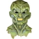 thumbnail image 1 of Mask Trick Or Treat Studios Se le pone la piel de gallina: El embrujado, 1 of 2