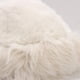 thumbnail image 4 of Gorro Ruso Peludo Clásico Para Invierno Cálido Unisex 57cm blanco Talla Única, 4 of 4