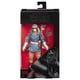 thumbnail image 1 of Figura de acción STAR WARS The Black Series Capitán Cassian Andor, 1 of 6